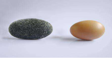 1668589676118884.png 1668589676118884.png