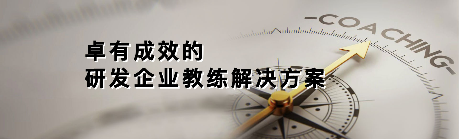 卓有成效开发教练解决方案、企业教练模型